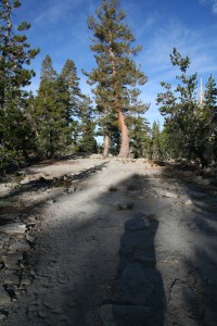 Near Buena Vista Lake