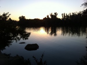 Dawn