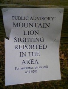 MountainLion