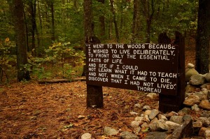 A sign near the site of Thoreau's cabin...