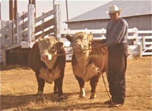 Grandfather & Cattle_2