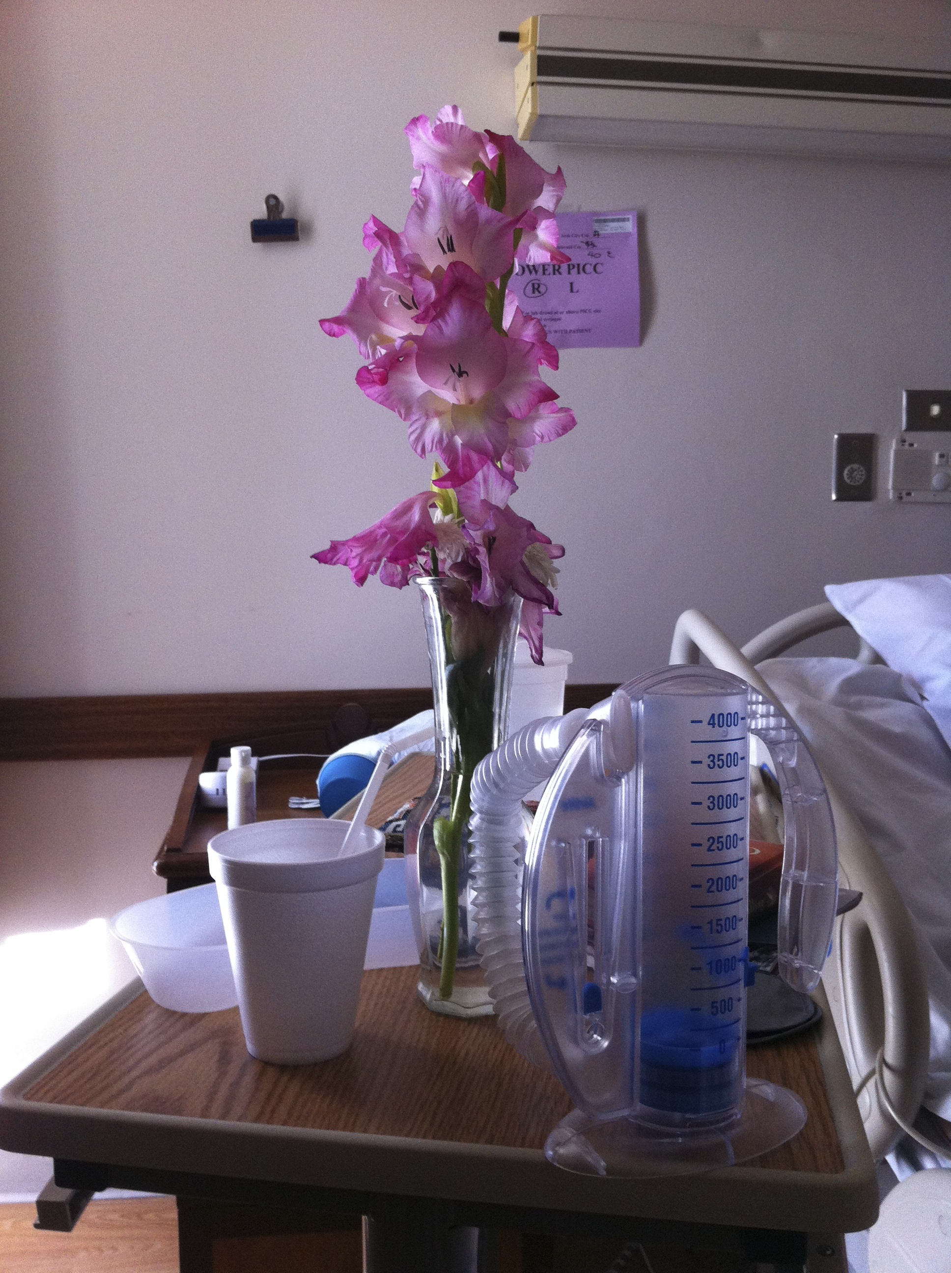 7 Tips For Taking Flowers To The Hospital First Come The Power Bouquet Item No D7 4906 Brings Together Roses And Asiatic Lilies To Send Your Sweetest Sentiments Offer