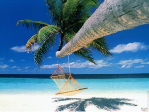 A beach, a hammock, a blue sky . . . paradise?
