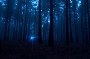 156365-425x282-A-flashlight-shining-in-the-dark-woods