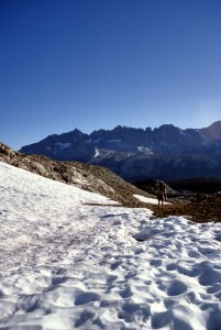 Photo #3
