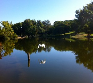 Still waters...
