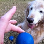 The infamous blue balls...