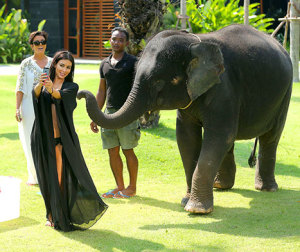 I couldn't resist posting a pic of Ms. Kardashian. Sorry. And it was hard to find an acceptable picture for my family friendly blog. (And apologies to the elephant...)