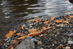 . . . and chose five smooth stones from the streambed . . .