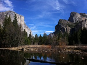 The wet earth trembles with new growth...
