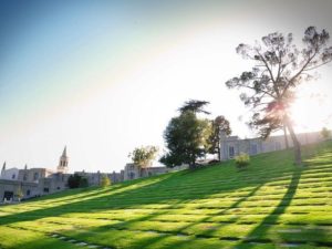 Forest Lawn Cemetery